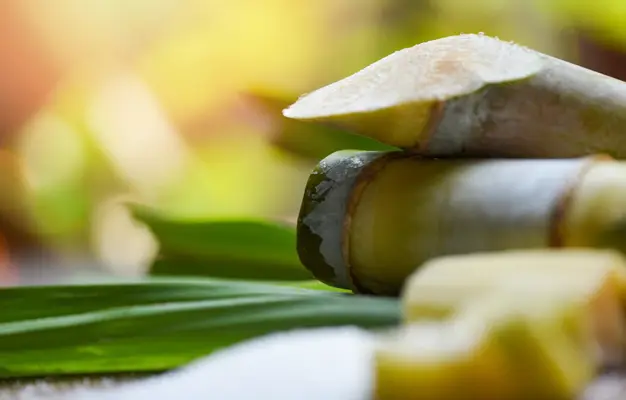 India Sugar Conference Synopsis 