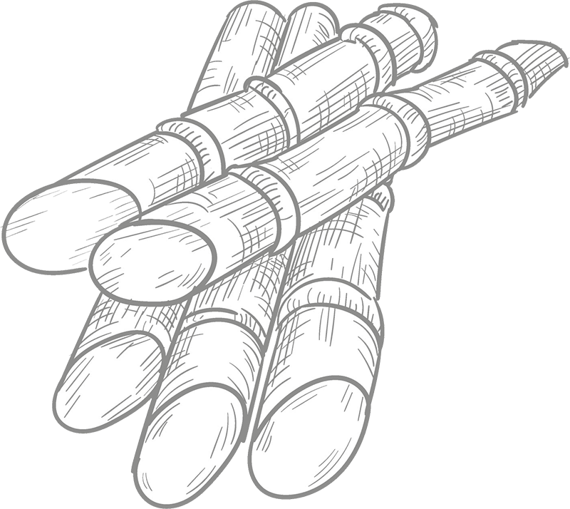 Khandsari Sugar Export